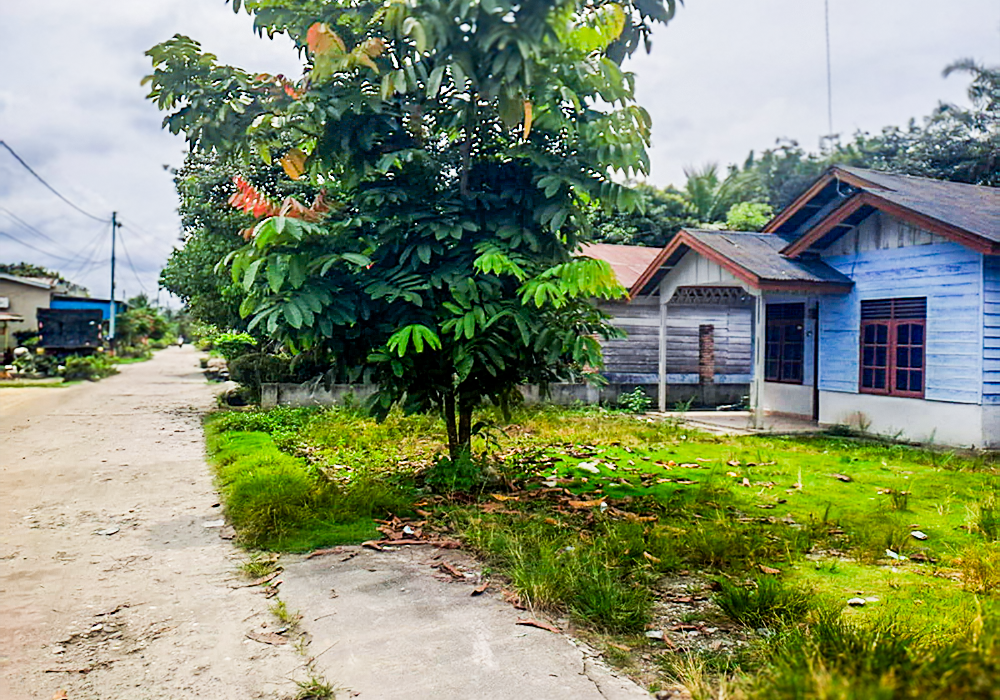 RUMAH DI KAB. SIAK - WOFF585-1 - foto 5